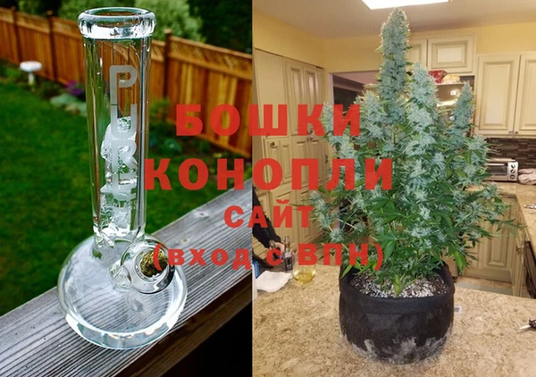 дурь Липки