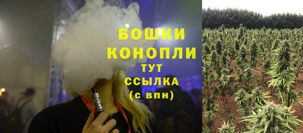 дурь Липки