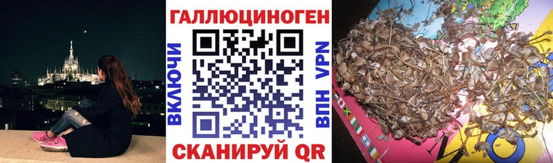 Псилоцибиновые грибы Psilocybe  Набережные Челны 