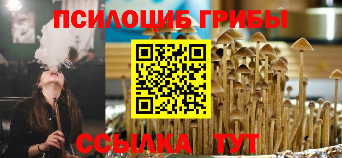 Псилоцибиновые грибы мухоморы Набережные Челны
