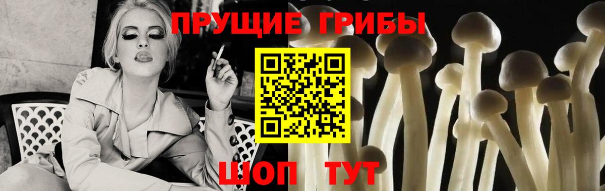 Набережные Челны  Галлюциногенные грибы прущие грибы  наркота  Псилоцибиновые грибы Psilocybine cubensis  Вход с VPN 